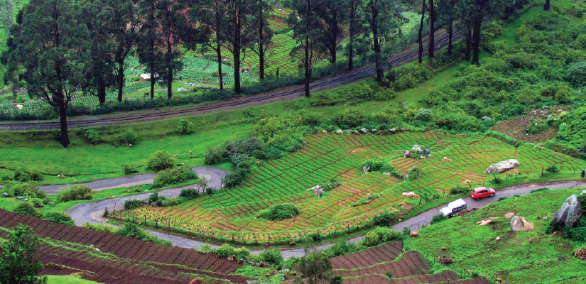 Explore South India - Ooty